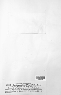 Cronartium pini image
